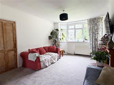 Picture 7